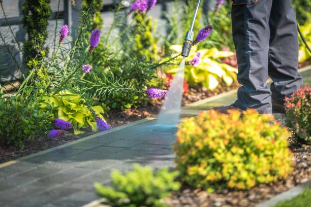Best Patio and Deck Pressure Washing  in Cortland West, NY